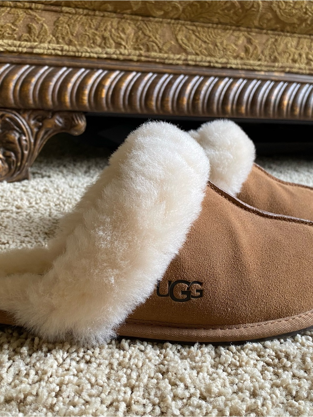 UGG Chestnut Slip-On Scuffette II with Cream Shearling